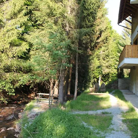 Arnica Montana-3